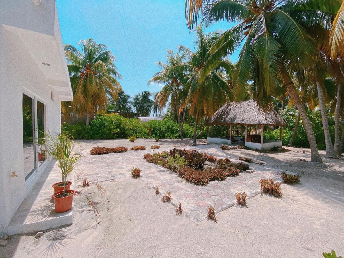 Coconut Palm House - El Cuyo Villa Luaran gambar