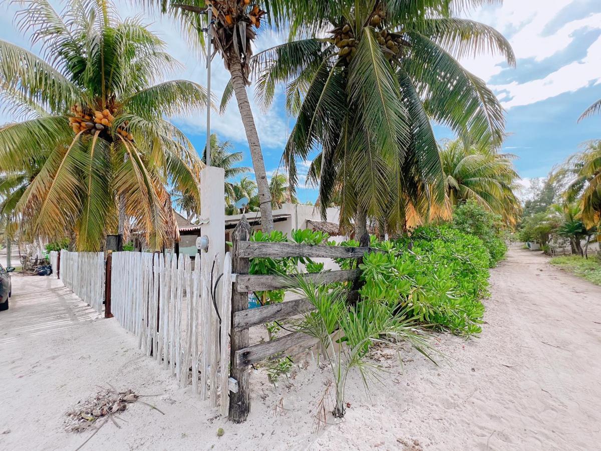 Coconut Palm House - El Cuyo Villa Luaran gambar