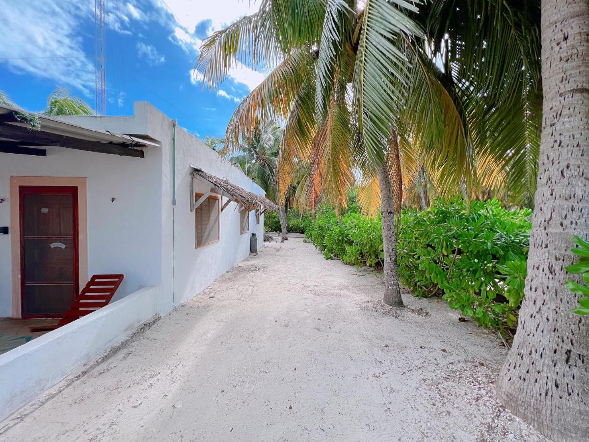 Coconut Palm House - El Cuyo Villa Luaran gambar